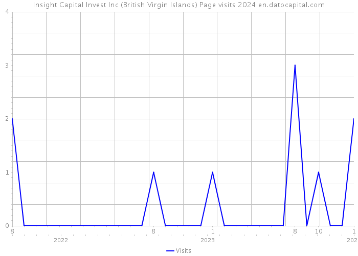 Insight Capital Invest Inc (British Virgin Islands) Page visits 2024 