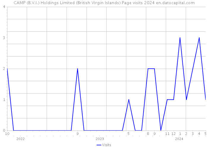CAMP (B.V.I.) Holdings Limited (British Virgin Islands) Page visits 2024 
