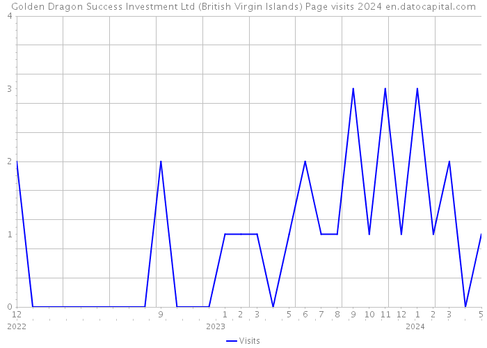 Golden Dragon Success Investment Ltd (British Virgin Islands) Page visits 2024 