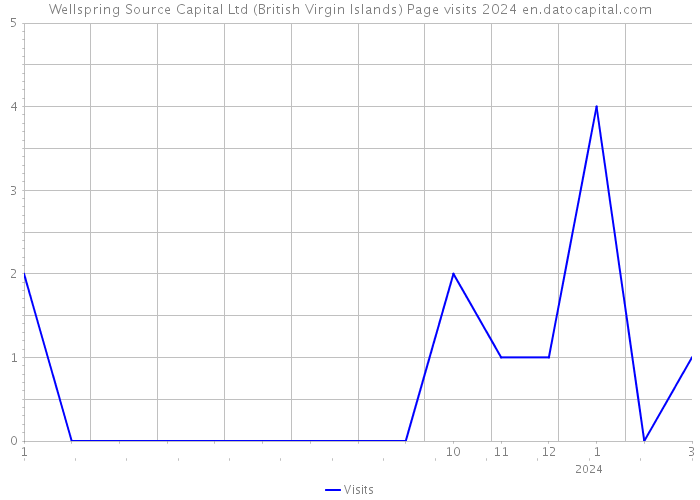 Wellspring Source Capital Ltd (British Virgin Islands) Page visits 2024 