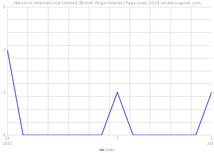 Hikvision International Limited (British Virgin Islands) Page visits 2024 