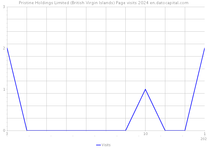 Pristine Holdings Limited (British Virgin Islands) Page visits 2024 