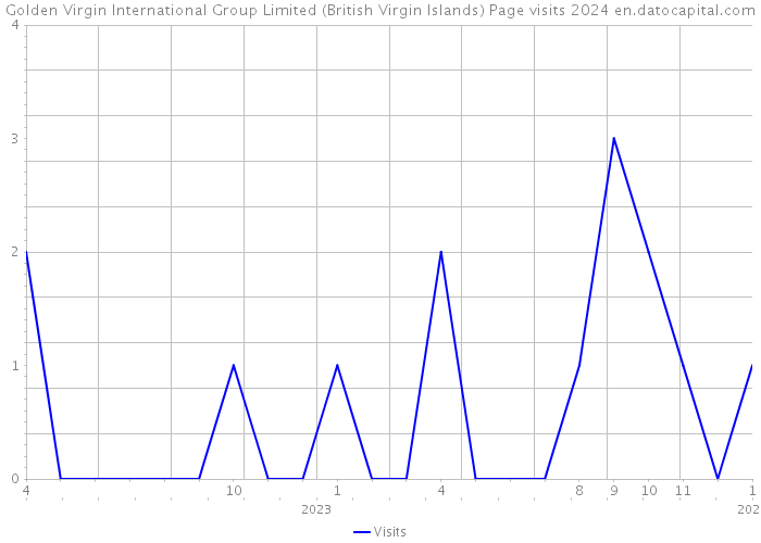 Golden Virgin International Group Limited (British Virgin Islands) Page visits 2024 