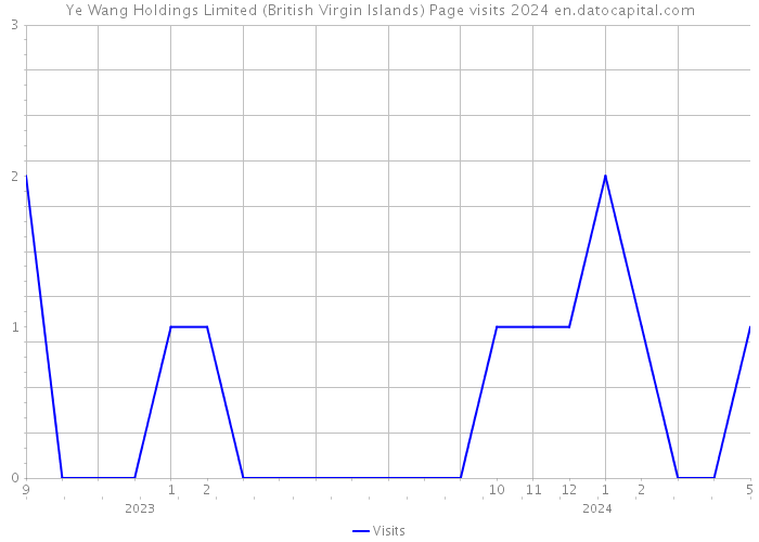 Ye Wang Holdings Limited (British Virgin Islands) Page visits 2024 