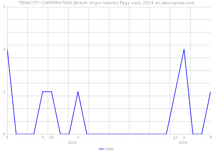 TENACITY CORPORATION (British Virgin Islands) Page visits 2024 