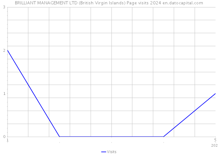 BRILLIANT MANAGEMENT LTD (British Virgin Islands) Page visits 2024 