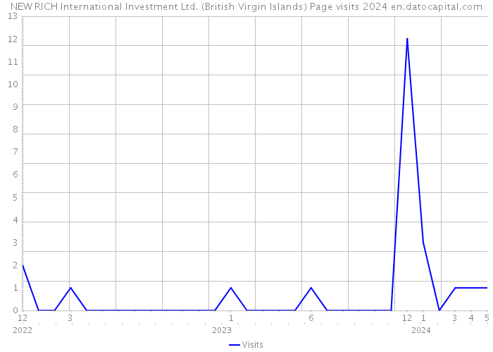 NEW RICH International Investment Ltd. (British Virgin Islands) Page visits 2024 