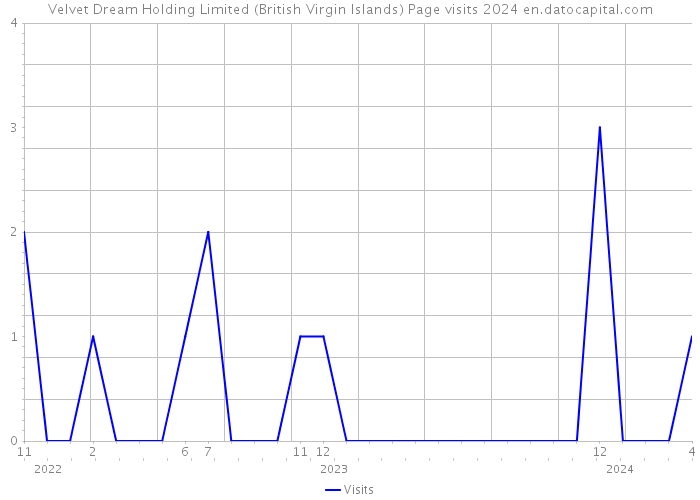 Velvet Dream Holding Limited (British Virgin Islands) Page visits 2024 