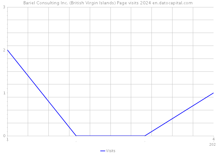 Bariel Consulting Inc. (British Virgin Islands) Page visits 2024 