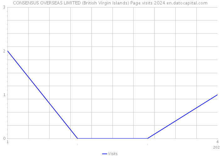 CONSENSUS OVERSEAS LIMITED (British Virgin Islands) Page visits 2024 