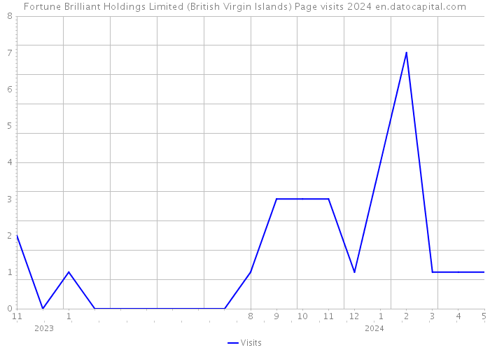 Fortune Brilliant Holdings Limited (British Virgin Islands) Page visits 2024 