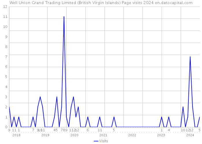 Well Union Grand Trading Limited (British Virgin Islands) Page visits 2024 