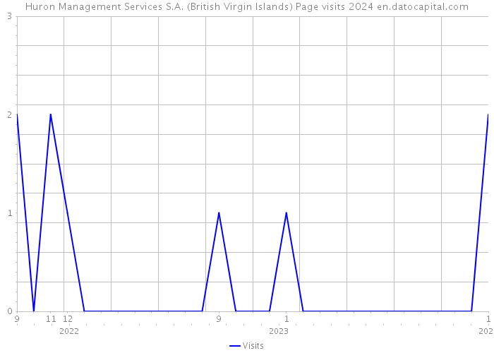 Huron Management Services S.A. (British Virgin Islands) Page visits 2024 