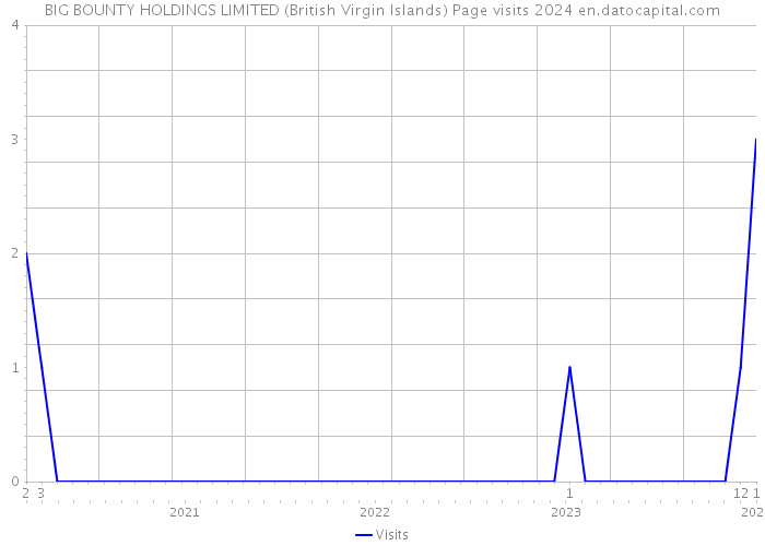 BIG BOUNTY HOLDINGS LIMITED (British Virgin Islands) Page visits 2024 