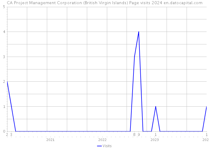 CA Project Management Corporation (British Virgin Islands) Page visits 2024 