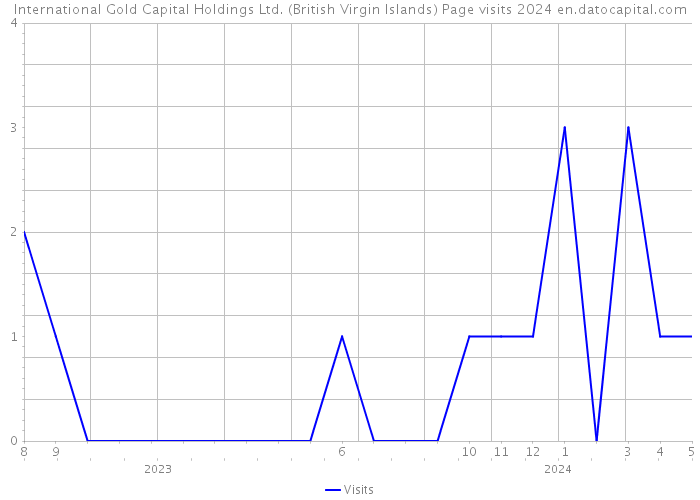 International Gold Capital Holdings Ltd. (British Virgin Islands) Page visits 2024 