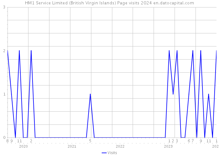 HM1 Service Limited (British Virgin Islands) Page visits 2024 