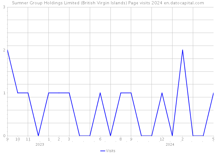 Sumner Group Holdings Limited (British Virgin Islands) Page visits 2024 