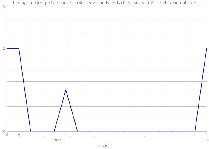 Lexington Group Overseas Inc. (British Virgin Islands) Page visits 2024 