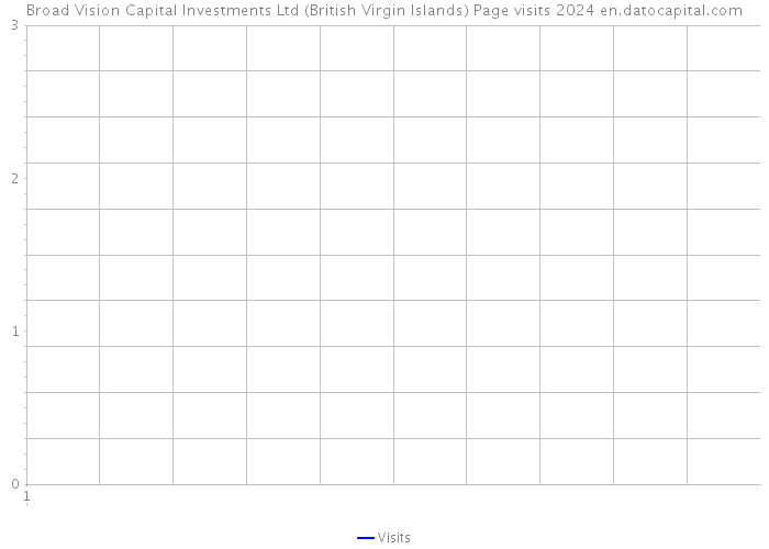 Broad Vision Capital Investments Ltd (British Virgin Islands) Page visits 2024 