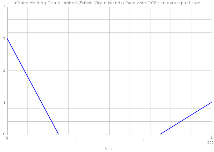 Infinite Holding Group Limited (British Virgin Islands) Page visits 2024 