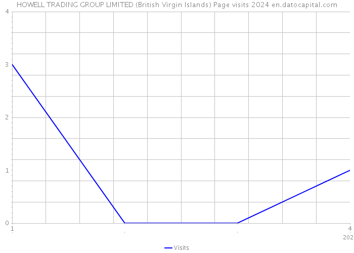 HOWELL TRADING GROUP LIMITED (British Virgin Islands) Page visits 2024 