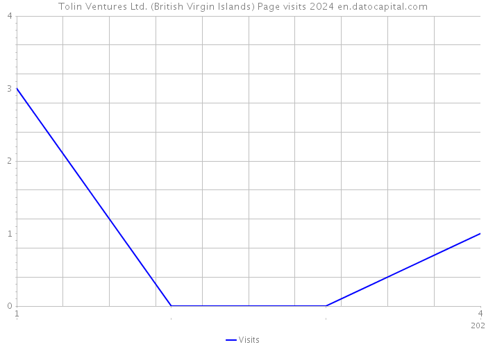 Tolin Ventures Ltd. (British Virgin Islands) Page visits 2024 
