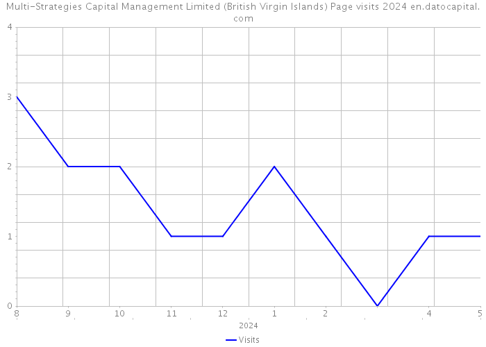 Multi-Strategies Capital Management Limited (British Virgin Islands) Page visits 2024 