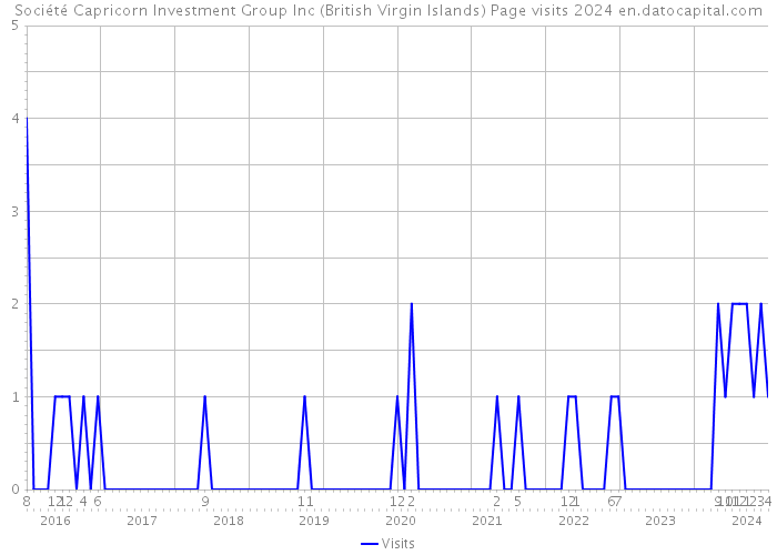 Société Capricorn Investment Group Inc (British Virgin Islands) Page visits 2024 