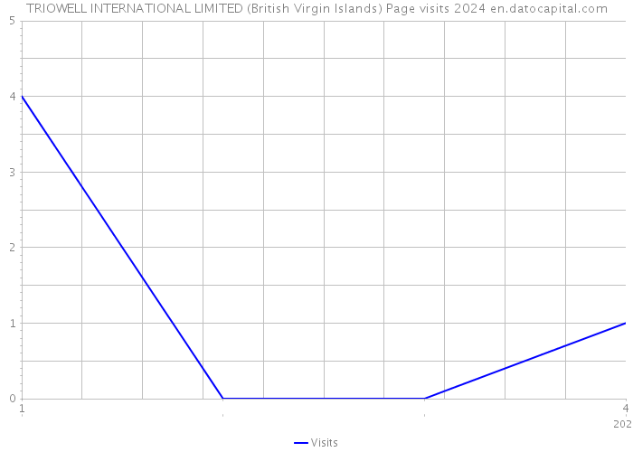 TRIOWELL INTERNATIONAL LIMITED (British Virgin Islands) Page visits 2024 