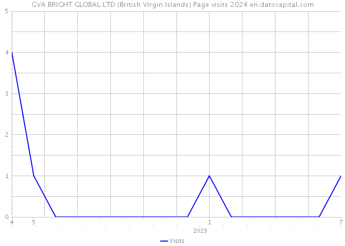 GVA BRIGHT GLOBAL LTD (British Virgin Islands) Page visits 2024 
