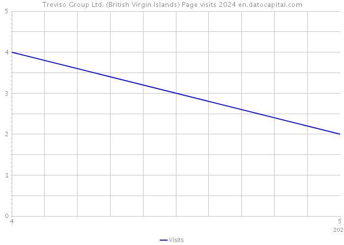Treviso Group Ltd. (British Virgin Islands) Page visits 2024 
