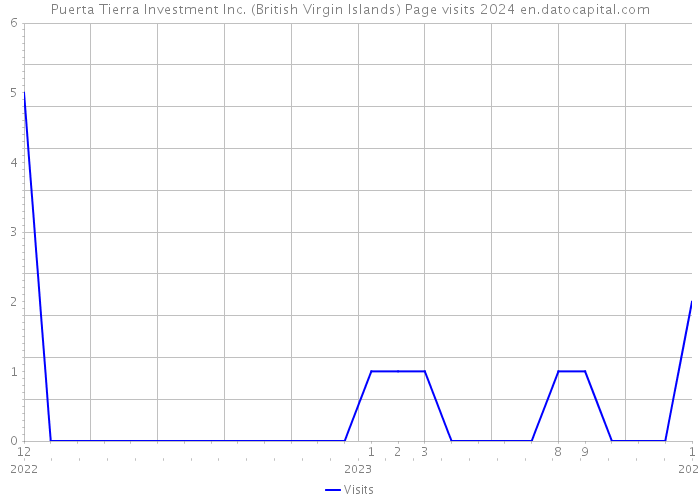 Puerta Tierra Investment Inc. (British Virgin Islands) Page visits 2024 