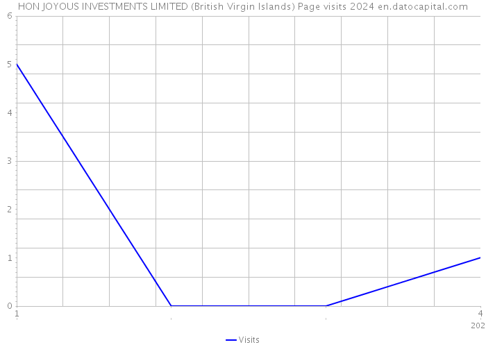HON JOYOUS INVESTMENTS LIMITED (British Virgin Islands) Page visits 2024 