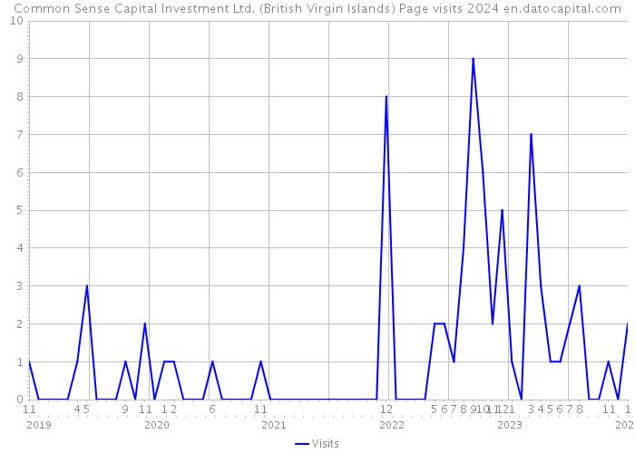 Common Sense Capital Investment Ltd. (British Virgin Islands) Page visits 2024 