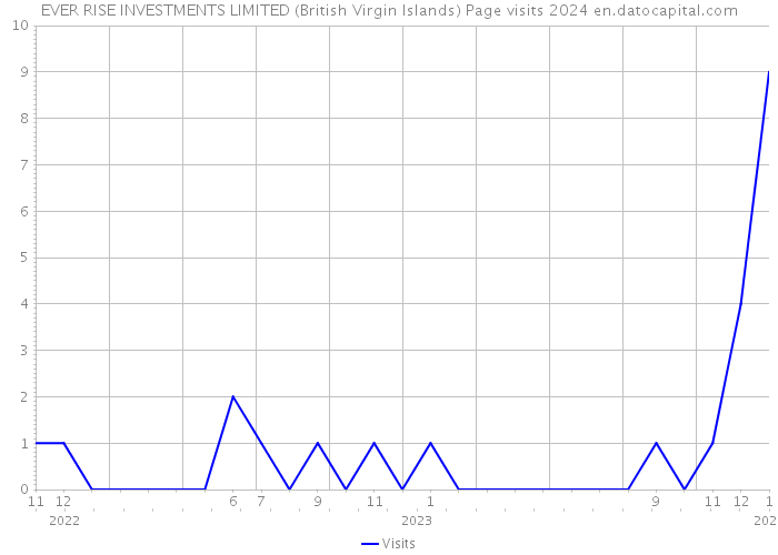 EVER RISE INVESTMENTS LIMITED (British Virgin Islands) Page visits 2024 