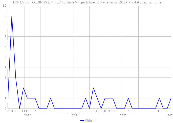 TOP EVER HOLDINGS LIMITED (British Virgin Islands) Page visits 2024 