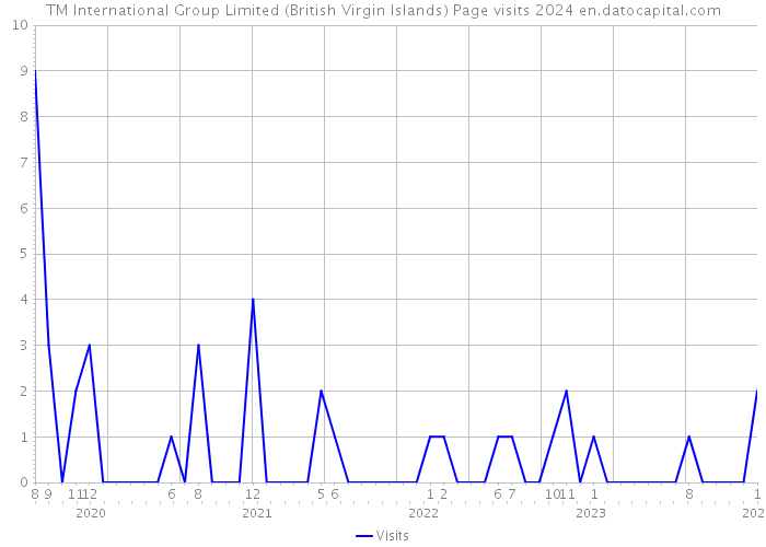 TM International Group Limited (British Virgin Islands) Page visits 2024 