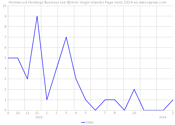 Holmwood Holdings Business Ltd (British Virgin Islands) Page visits 2024 