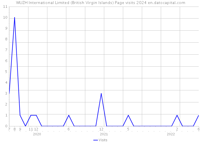 WUZH International Limited (British Virgin Islands) Page visits 2024 