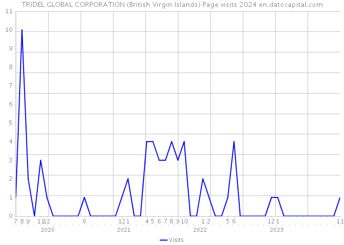 TRIDEL GLOBAL CORPORATION (British Virgin Islands) Page visits 2024 