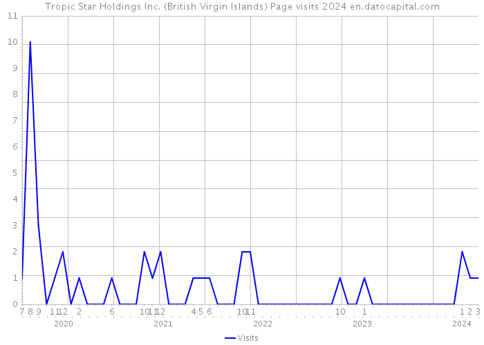 Tropic Star Holdings Inc. (British Virgin Islands) Page visits 2024 
