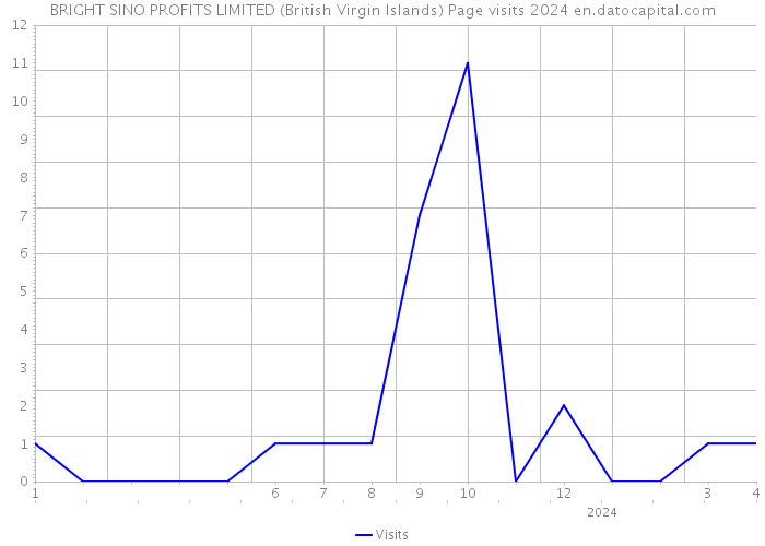 BRIGHT SINO PROFITS LIMITED (British Virgin Islands) Page visits 2024 