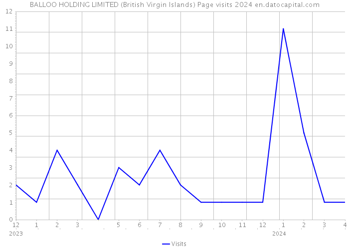 BALLOO HOLDING LIMITED (British Virgin Islands) Page visits 2024 