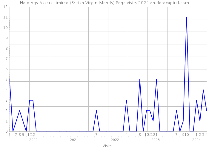 Holdings Assets Limited (British Virgin Islands) Page visits 2024 