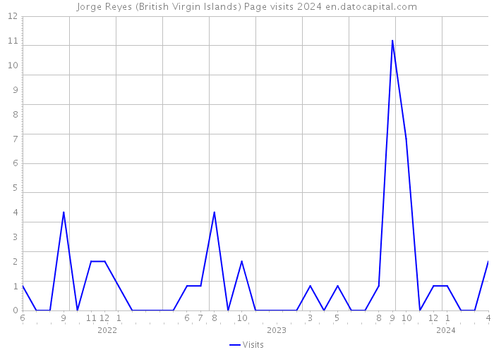 Jorge Reyes (British Virgin Islands) Page visits 2024 