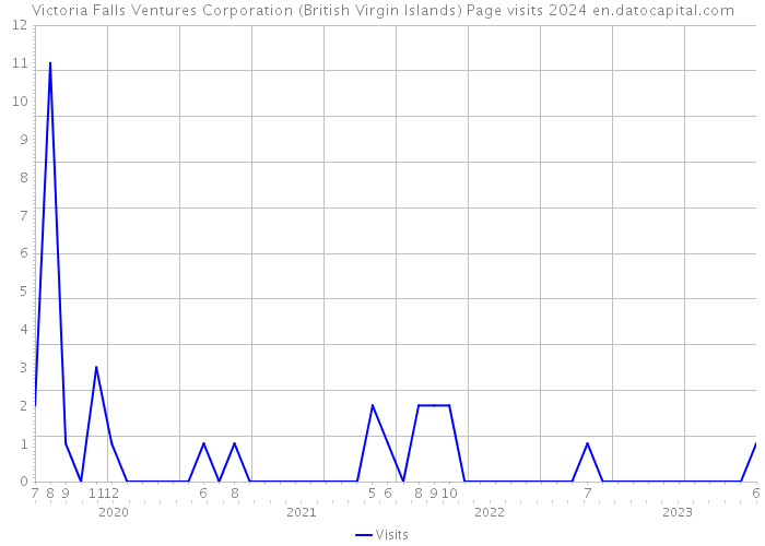 Victoria Falls Ventures Corporation (British Virgin Islands) Page visits 2024 