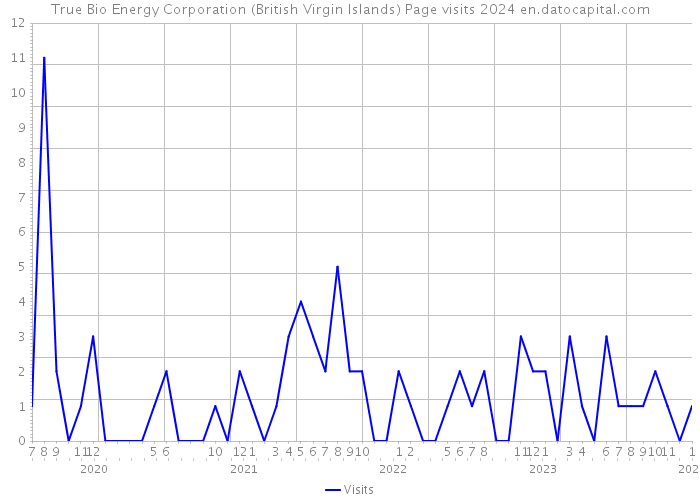 True Bio Energy Corporation (British Virgin Islands) Page visits 2024 