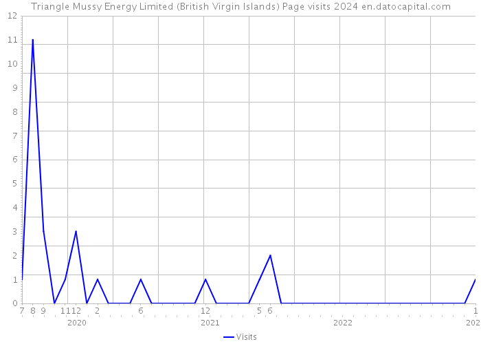 Triangle Mussy Energy Limited (British Virgin Islands) Page visits 2024 