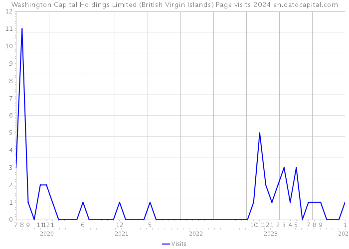 Washington Capital Holdings Limited (British Virgin Islands) Page visits 2024 
